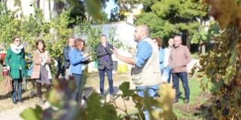 Visita guiada 'Aiguadolç, marges i malvasia'