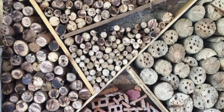 Bibliotaller " Fem un hotel d’insectes" Bibliotaller " Fem un hotel d’insectes"