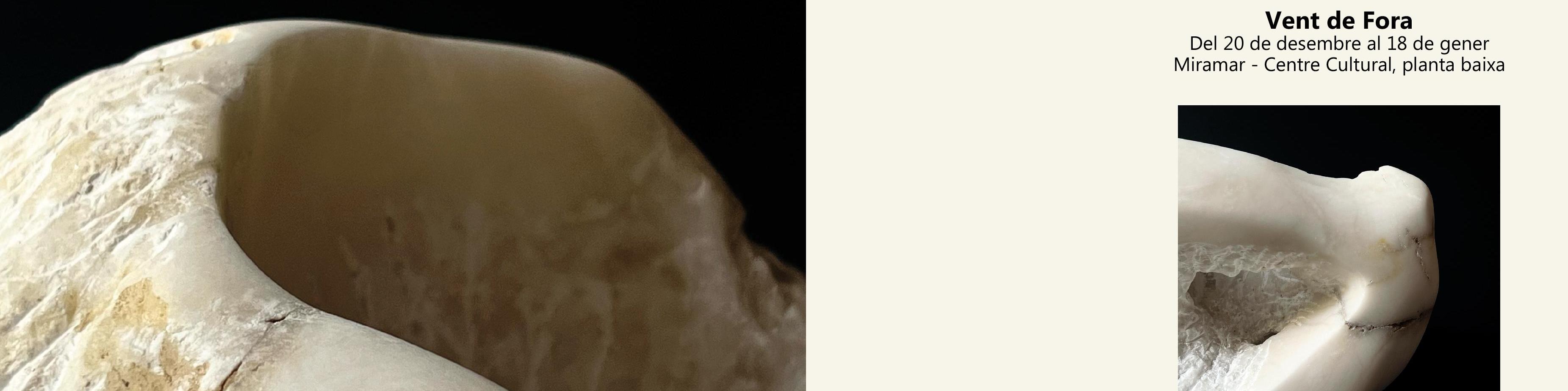 Exposició 'Vent de fora' de Susana Botana